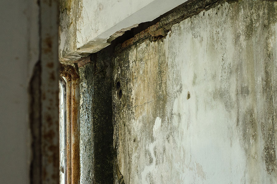 basement foundation mold