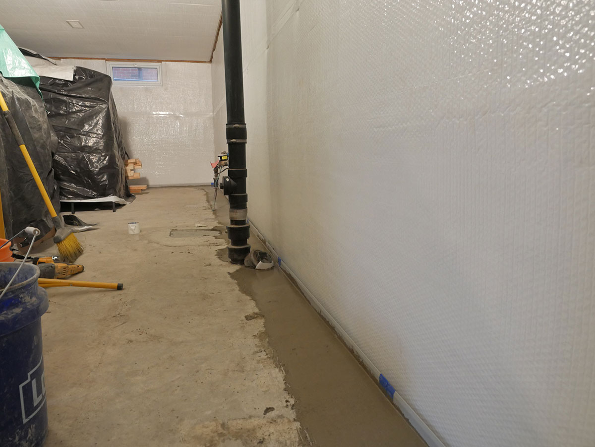 basement waterproofing mold repair