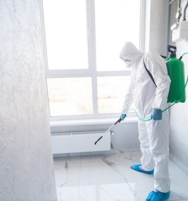 Mould and Asbestos Remediation Blog image