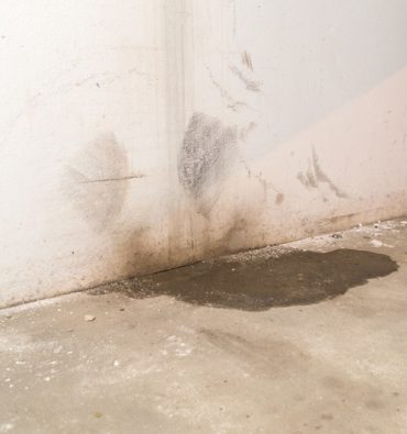 Why not to ignore basement leak blog image